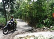 WOW! Jalan Baru di Gunosari Hasil TMMD 123 Kodim 0822 Bondowoso, Warga Bersorak Gembira!