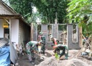 TMMD ke-123 Bondowoso Wujudkan Harapan, Babinsa dan Warga Bersatu Bangun Rumah Ibu Wagia