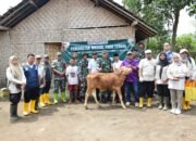 TMMD ke-123 Kodim 0822 Bondowoso Gelar Pengobatan Ternak di Desa Gunosari