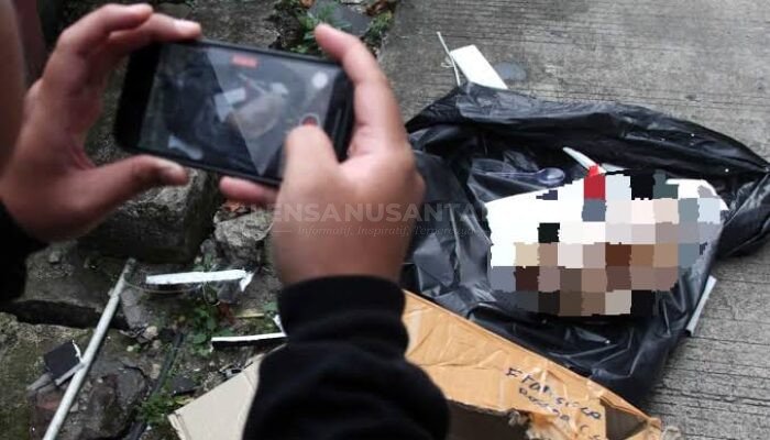 Forum Wartawan Banjarnegara Mengutuk Keras, Teror Kiriman Kepala Babi dan Bangkai Tikus ke Media Tempo