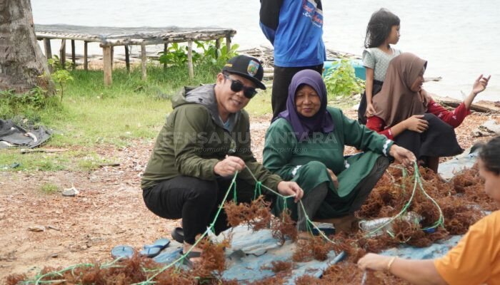 Ketua DPRD Jepara Dukung dan Bantu Kelompok Budidaya Pengembangan Rumput Laut Karimunjawa