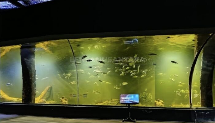 Aquarium Indonesia Raksasa Pangandaran Siap Suguhkan Ratusan Biota Laut Dimasa Libur Lebaran 2025, Berikut Harga Tiket Masuknya