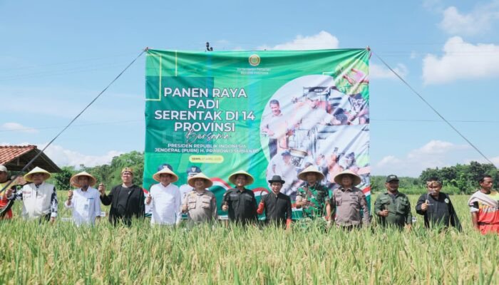 Bupati Purwakarta Ikuti Panen Raya Serentak di 194 Kabupaten/Kota
