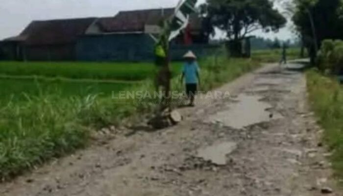 Jalan Kabupaten Rusak Parah, Begini Tanggapan Kades Mayang Jember