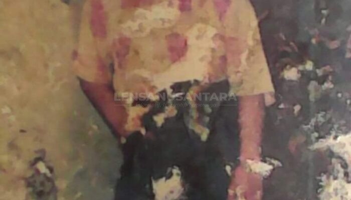 彭沃罗戈夫妇请求 PMI 志愿者 寻找自 2000 年失联的女儿