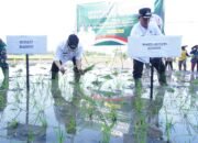 Tanam Padi Serentak Bersama Presiden Prabowo, Bupati dan Wabup Madiun Tunjukkan Komitmen Dukung Ketahanan Pangan