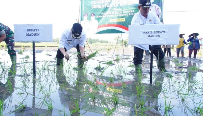 Tanam Padi Serentak Bersama Presiden Prabowo, Bupati dan Wabup Madiun Tunjukkan Komitmen Dukung Ketahanan Pangan