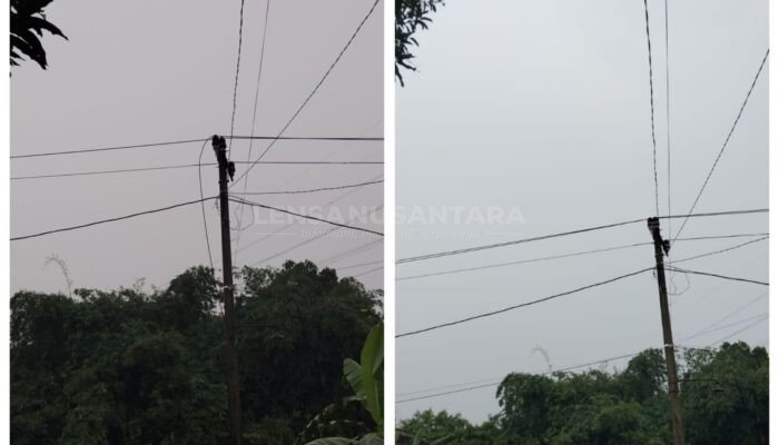 Beberapa Hari Kabupaten Pati Sebagian Mengalami Cuaca Ekstrem