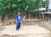 Mengintip Peluang Bisnis dari Peternakan Bebek Petelur di Sidowayah Rembang