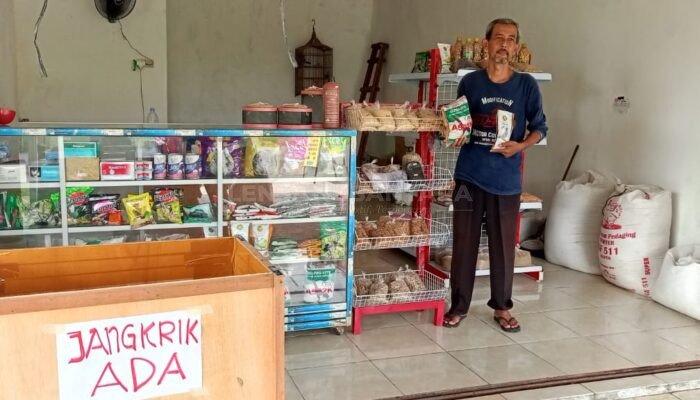 Solusi Sukses, Usaha Pakan Ternak Rumahan dengan Modal Kecil