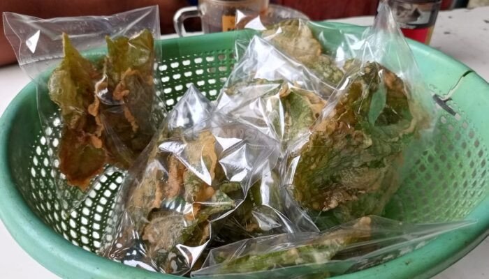 Keripik Bayam Jago, Alternatif Cemilan Sehat Ala Iwan Sawahan Rembang
