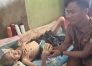 Pemdes Tanjung Beringin Luas Bagikan BLT Kepada 20 KPM