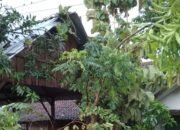 Beberapa Desa di Kabupaten Blora Mengalami Cuaca Ektrim Mengakibatkan Listrik Padam