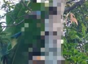 Pernikahan Dibatalkan Calon Mertua, Pria Jember Ditemukan Gantung Diri