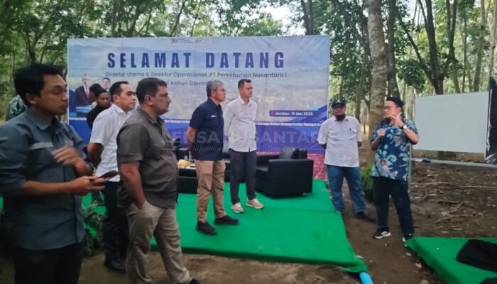 Direktur Utama PTPN I Lakukan Kunker ke Kebun Gelantangan Jember Pastikan Peningkatan Produksi