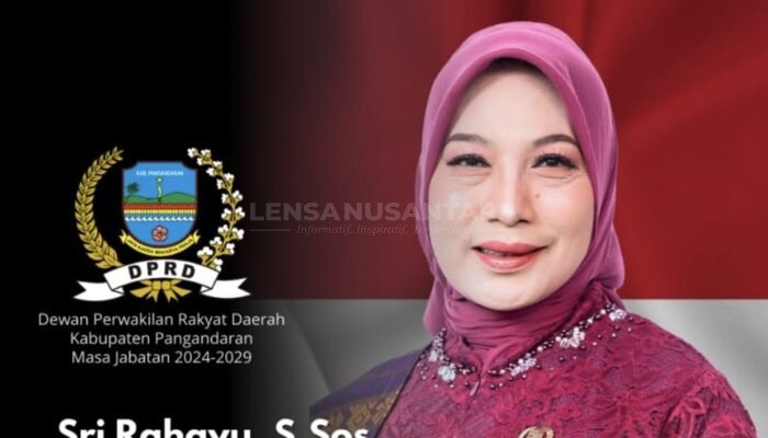 Anggota DPRD Pangandaran Sri Rahayu, Turun Kesawah Ikut Tanam Padi