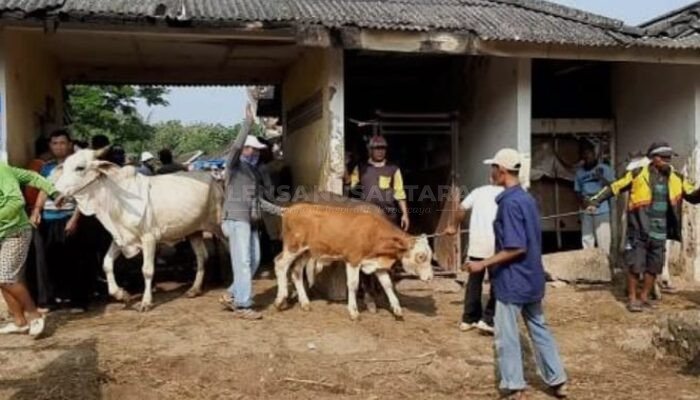 Bupati Rembang Pastikan Pasar Hewan Pamotan Pindah Tahun Ini
