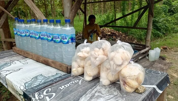 Musim Hujan, Pedagang Legen di Rembang Kelimpungan