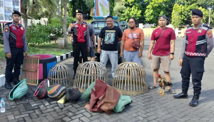 Polisi Gerebek Arena Sabung Ayam di Panarukan Situbondo