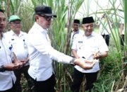 Koperasi Merah Putih, Harapan Ekonomi Desa: Wamendagri dan Bupati Malang Tinjau Langsung Potensi Desa Randugading