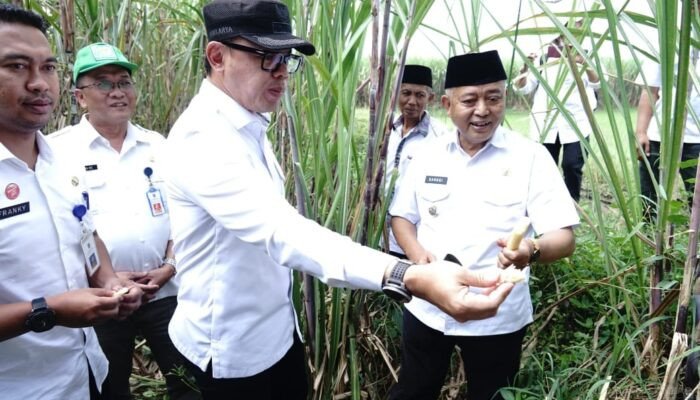 Koperasi Merah Putih, Harapan Ekonomi Desa: Wamendagri dan Bupati Malang Tinjau Langsung Potensi Desa Randugading