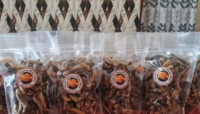 Olahan Kripik Tripang Situbondo, Camilan Sehat Kaya Khasiat