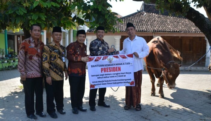 Presiden Prabowo Beri Sapi 1,1 Ton untuk Warga Madiun, Bupati: Wujud Kepedulian di Hari Raya Idul Adha