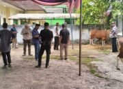 PWI Sumsel Potong Hewan Kurban 2 Sapi Idul Adha 1446 H