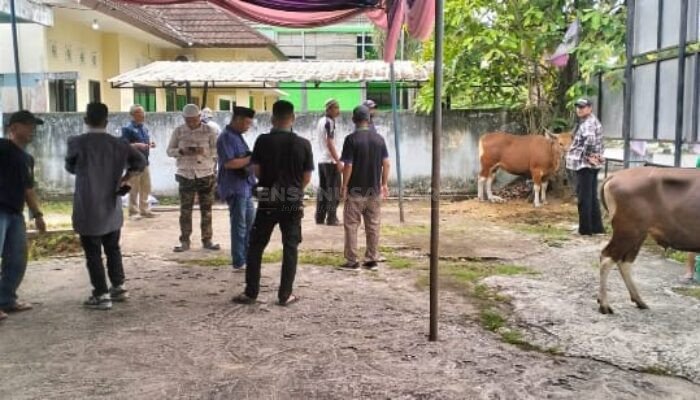 PWI Sumsel Potong Hewan Kurban 2 Sapi Idul Adha 1446 H