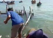 Nelayan Rembang Mancing Belanak Dengan Botol Bekas dan Tepung Terigu
