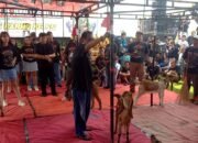 DPRD Kabupaten Blitar Dukung Kontes Kambing untuk Bangkitkan Semangat Peternak Pasca Wabah PMK