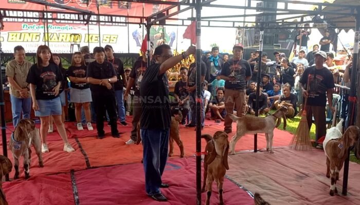 DPRD Kabupaten Blitar Dukung Kontes Kambing untuk Bangkitkan Semangat Peternak Pasca Wabah PMK