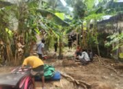 Polres Situbondo Gerebek Lokasi Judi Sabung Ayam di Kotakan, Tiga Orang Tersangka Diamankan