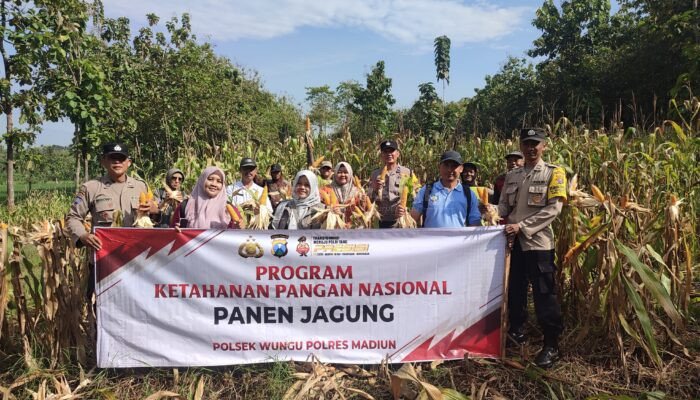 Panen Raya Jagung di Madiun, Polri dan Warga Perkuat Ketahanan Pangan Desa