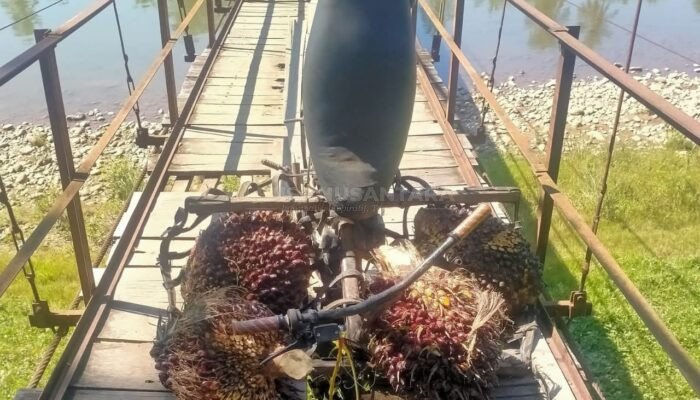 Jembatan Gantung Air Luas Rusak Parah, Waka I DPRD Kaur Akan Bawa Ke Paripurna