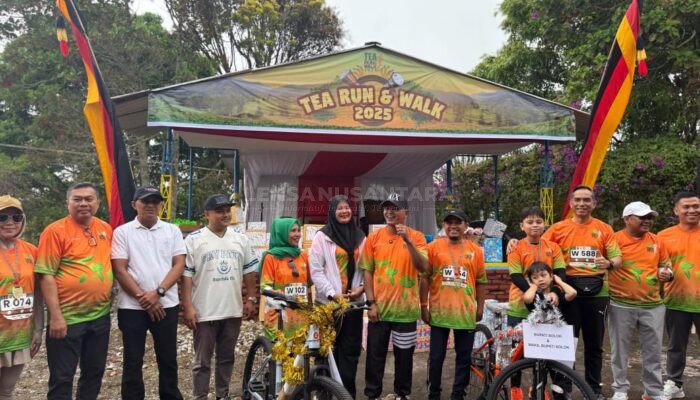Event Tea Run & Walk 2025 di Kebun Teh Danau Kembar Solok Berlangsung Meriah
