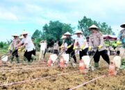 Wakil Bupati Simalungun Tegaskan Komitmen Dukung Program Nasional Swasembada Pangan
