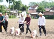 DPRD Yakin Kabupaten Blitar Miliki Potensi Wujudkan Swasembada Pangan di Tahun 2025