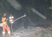 Kebakaran Lahan di BTN Gozali, BPBD Lamandau dan Tim Gabungan Berhasil Padamkan Karhutla