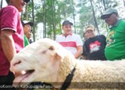 Festival Domba Kelas Terbuka HPDKI 2025 Sukses, Mas Bupati Rusdi: Agendakan Lebih Meriah Lagi Tahun Depan