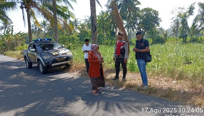 Akhirnya, Pelaku Jambret di Jalan Raya Tangsil Bondowoso Ditangkap Polisi