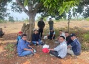 Dolomit, Komoditas Tambang yang Lebih Menjanjikan dari Batubara