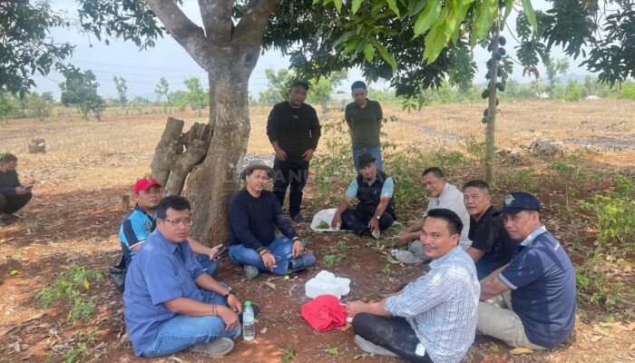 Dolomit, Komoditas Tambang yang Lebih Menjanjikan dari Batubara