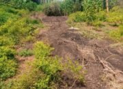 Warga Desa Citatah Bandung Barat Resah, Limbah Kandang Tak Kunjung Diolah