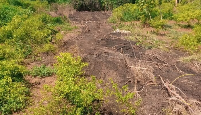 Warga Desa Citatah Bandung Barat Resah, Limbah Kandang Tak Kunjung Diolah