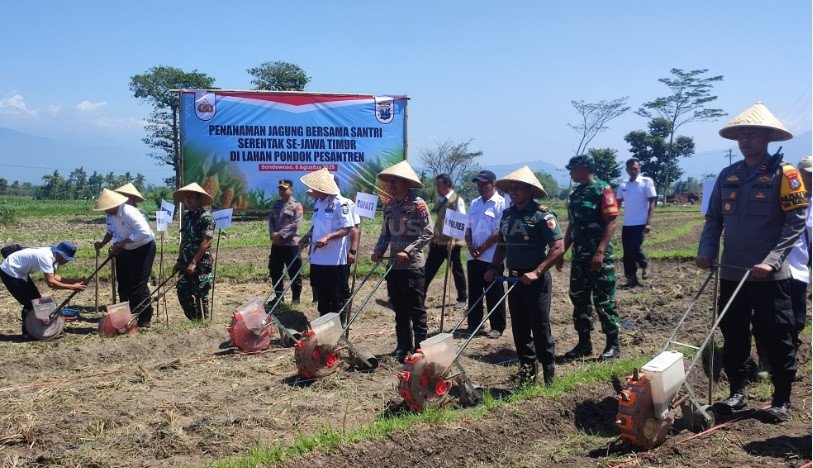 Satu Komando Dukung Ketahanan Pangan, Bupati Bondowoso Tanam Jagung Bareng Santri