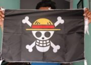 Fakta Mengejutkan Tentang Bendera One Piece yang Jarang Diketahui