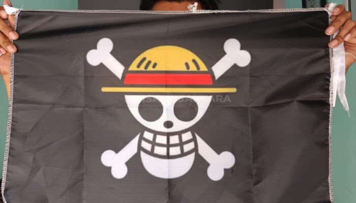 Fakta Mengejutkan Tentang Bendera One Piece yang Jarang Diketahui
