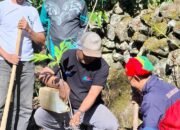 Forum Guru Sertifikasi Non ASN Bulukumba Tanam Pohon di Puncak Donggia, Wujudkan Cinta Lingkungan
