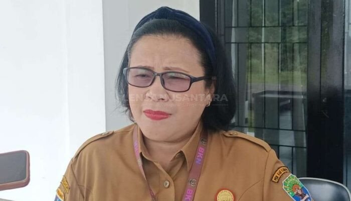BKPSDM Kaimana Siapkan 540 Calon Tenaga Kontrak Masuk Database PPPK Paru Waktu